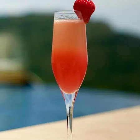 Les Terrasses D'eze - & Hotel 4*